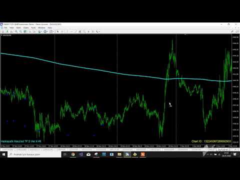 Video Haskayafx XauUsd TFM5