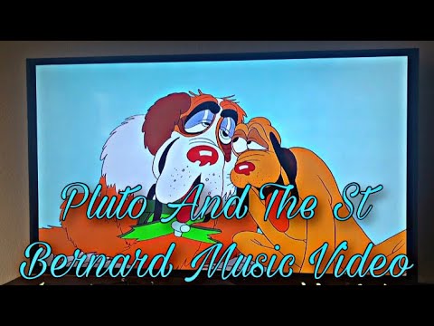 Pluto And The St Bernard Music Video