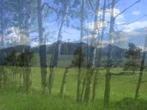 NHN Indian Creek Road, Eureka, MT, 59917