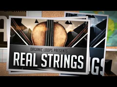 Real Strings Vol. 6 - Broken Chords - Kontakt Instrument