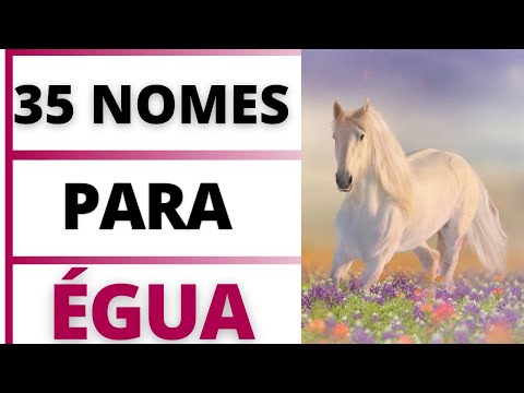 NOMES LINDOS PARA ÉGUA