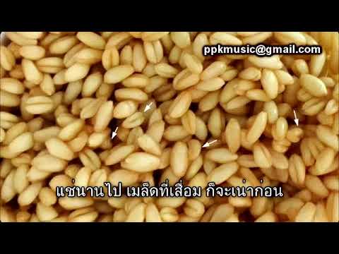 ผลิตภัณฑ์สำหรับแรงฟักทอง ความอ่อนแอในผู้ชายในรัสเซีย