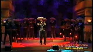 Amarte A La Antigua / Pedro Fernandez - Mariachi Voces De América