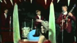 Go Go Gorilla - The Ideals (Hipsville 60's Garage Go Go Party 2013)