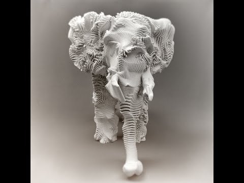Elephant -  Surface Advection Xparticles