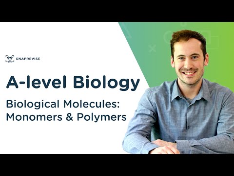 Introduction to Biological Molecules: Monomers & Polymers | A-level Biology | OCR, AQA, Edexcel