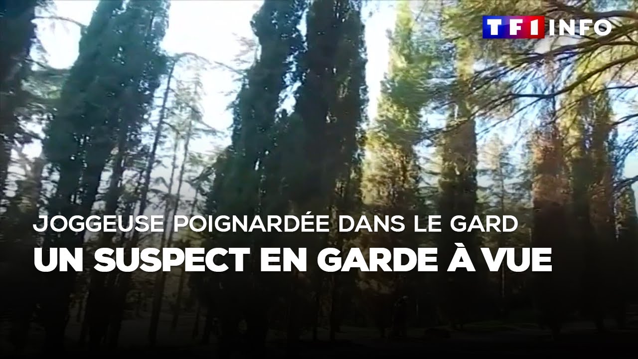 Joggeuse poignardée dans le Gard : un suspect en garde à vue｜TF1 INFO