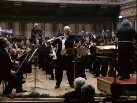 @ionbogdanstefanescu  Chopin - Variations on a Theme by Rossini