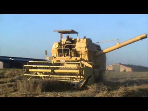 Landb. De Queeckere - Alveringem