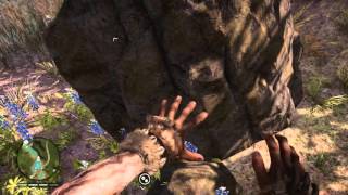 Where to find south stone and rare south stone in Far cry primal