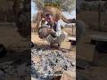Ram Rot Khana Rajasthan Camel Village Youtubeshorts