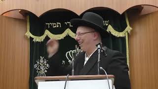 הרב ליאור גלזר  פרשת תצוה