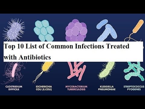 E. coli: fajok leírása, tünetei és kezelési módjai