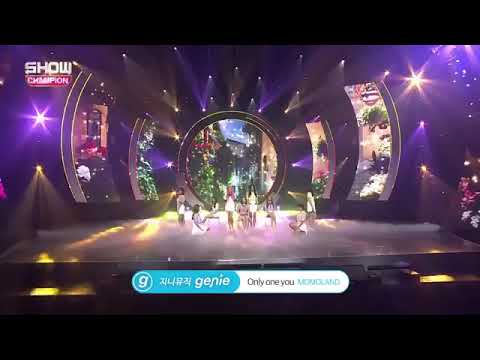 Show Champion Momoland Only one you