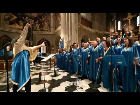 Video thumbnail t3XTUg91alk