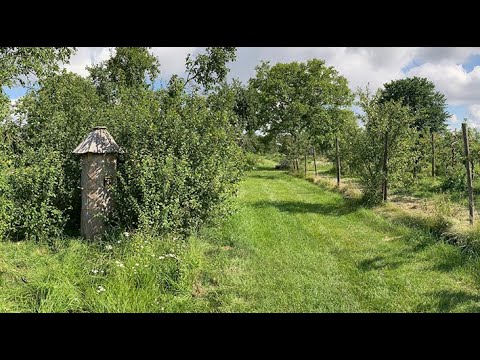 Zeidler Imkerei 2021   HD 1080p