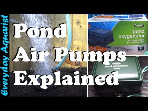 Pond air pump oxygenators/ aerators- do you need them and ho...