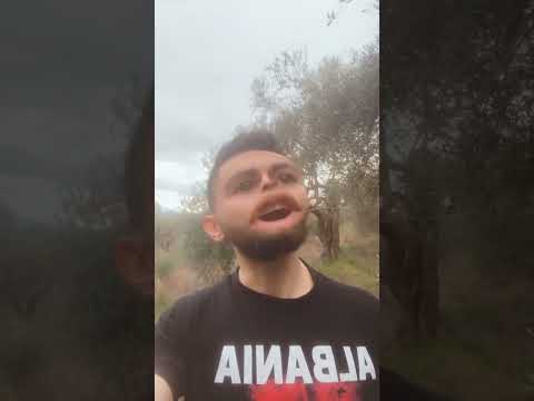 The Albanian Comedy Noke Ramos Kur njeriu nuk do te prashisi ullinjet justifikohet te vandami