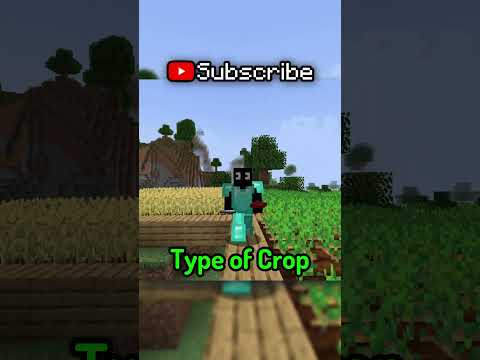 Unbelievable! The Ultimate Minecraft Farming Guide