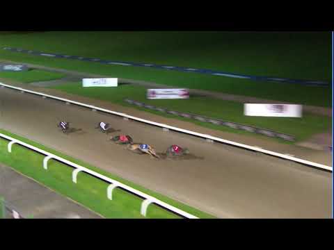 2020 RPGTV STAYERS TROPHY FINAL - T1 BLUE TICK GEORGE