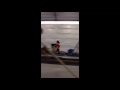 Kim Spritzky Practice Jumps