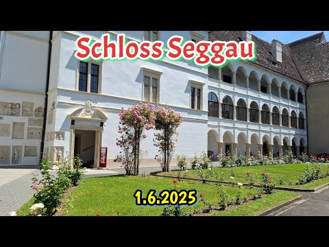SCHLOSS SEGGAU. Ausflug am 01.06.2025. #Schloss #seggau #castle #besichtigen #Ausflug