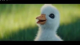 🕊Birds🕊 life enjoy || New Whatsapp status || Cartoons video 2019....