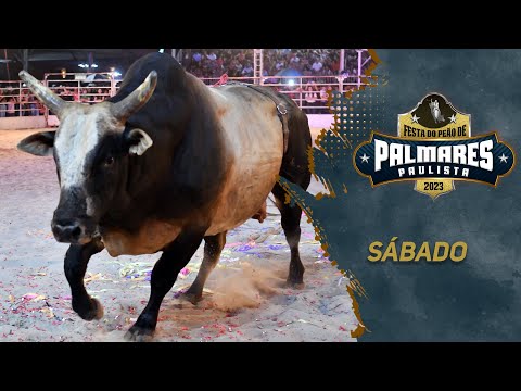 Rodeio de PALMARES PAULISTA 2023 / FINAL COPA ARENA COUNTRY (SÁBADO / MELHORES MOMENTOS)