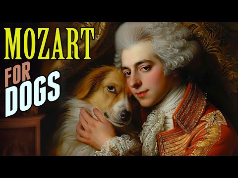 Mozart for Dogs - Classical Music for Dogs, Separation Anxiety Music for Dogs