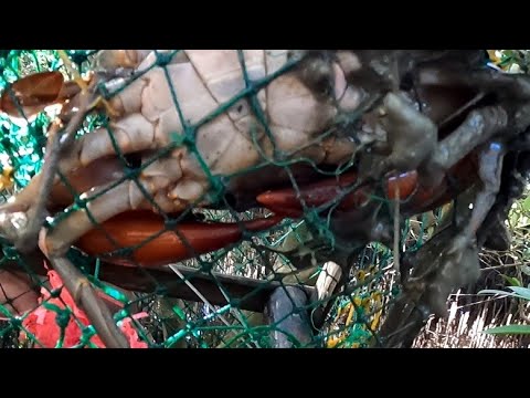 EP318:PART1-SARI-SARI ANG AMING NAHULI SA AMING TIMING