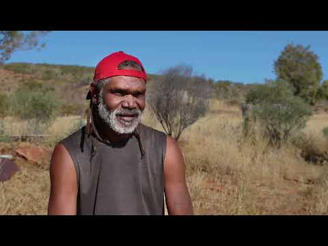 Ngalurrtju – a new landmark project for conservation