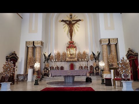 Santa Missa | 23º Domingo do Tempo Comum | 04/09/22 | Catedral de Mogi das Cruzes