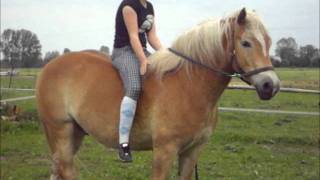 The first Love I never forget...