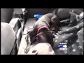 Ex Fighting Pitbull Dog Saves Woman's Car Being ...