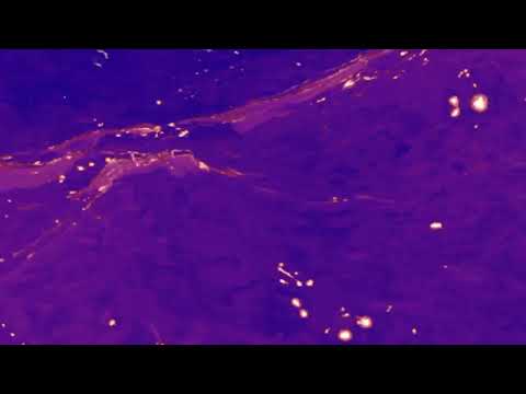 Kungs, Stargate - Be Right Here ft. GOLDN (Slowed + Reverb)