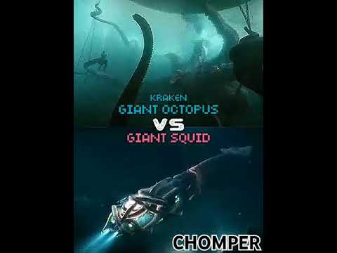 Kraken (Giant Octopus) vs Giant Squid