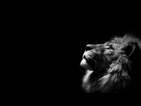 Jerro - Jordan Arts - CEAUS - Scorz - Nicholas Gunn - Lexer - AVIRA - Le Youth  (Omer Gigi Set