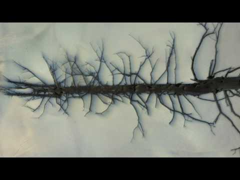 Calling The Others ~Anilah