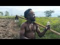 WHEN AN AFRICAN MAN LOVES LATEST UGANDAN MOVIE The Beauty Of Cultural Love