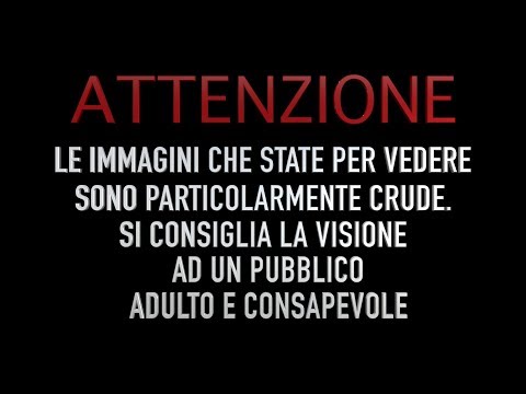 Trailer Volley Vigarano