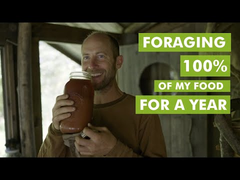 In 2 Weeks I Give up the Grocery Store - Foraging 100% of My Food for a Year