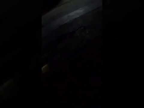 OMG CHAT weckt die 🐶 Hunde auf! IRL Stream FAIL #shortsmitmarietta #bastelnerd #changmai