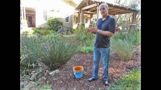 preview picture of video 'Be Floridian: Winterizing Your Yard'