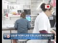 Video: El Uso Público de Células Madre es Inconstitucional 