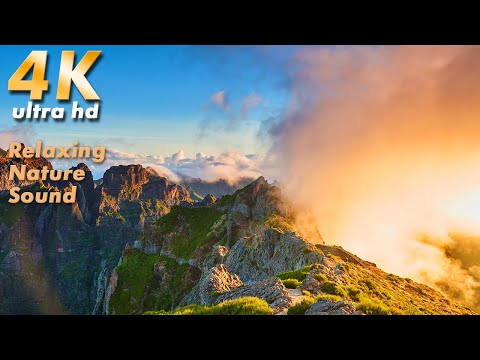 4K Virtual walk, Relaxing video. Bird song.  Nature Sounds.  Vereda do Areeiro - Pico Ruivo PR1 /2