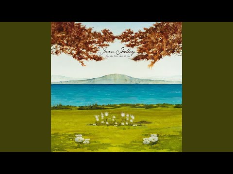 Haven - Joan Shelley
