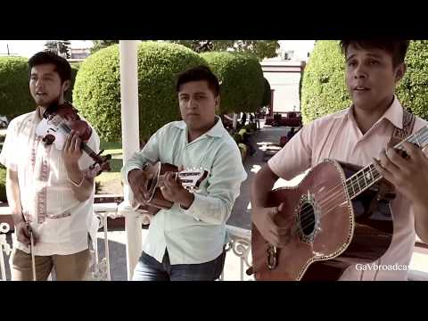 Trío Caimanes del Río Tuxpan toca "Provócame" desde San Juan del Río