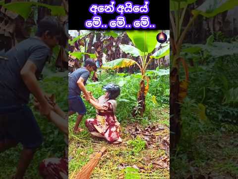 What’s meant for you will find you 😂 | Trust in God