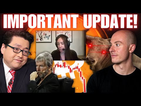 IMPORTANT UPDATE: Is It Time To Call It Quits... Lyn Alden On The 4 Year Cycle, DATs Under Pressure!