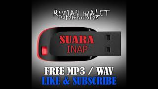 Download lagu SUARA ANAKAN WALET CEPAT MENGINAP mp3